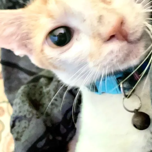 What I Think -Ep1 (menjauhimu membuatku tenang)