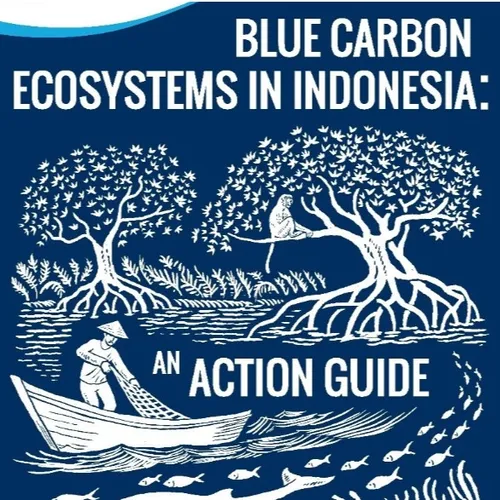 Pilar Strategis Proyek Karbon di Area Mangrove