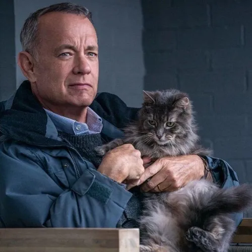 A summary of film “A Man Called Otto”