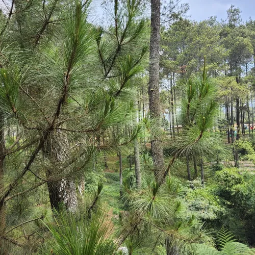 Cinta yang Marah 1- 4