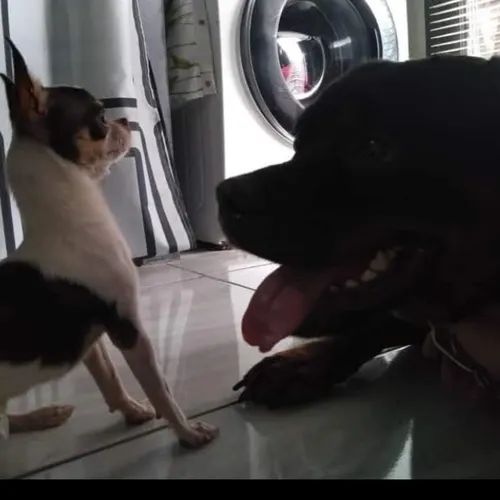 Eps 1. Obrolan balik selimut: dari pajak sampai foto fuji di Italia