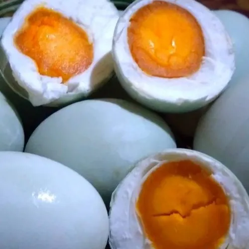 dolan kabupaten brebes