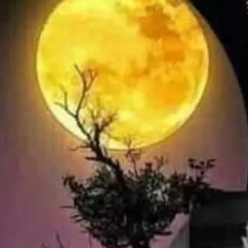 Penjelasan singkat Supranatural 