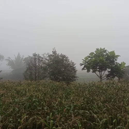 Tahapan berinteraksi dengan syahadat