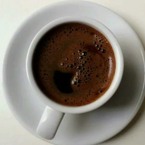 Episode 8 Makanan Bisa Hidup