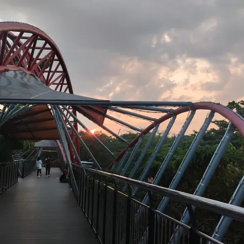 Informative speech summary 