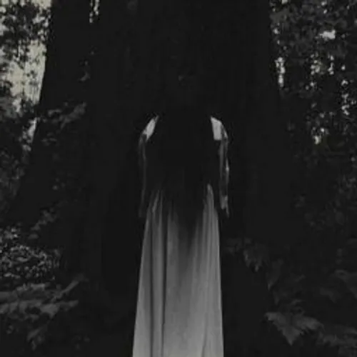 Penunggu pohon Kapuk