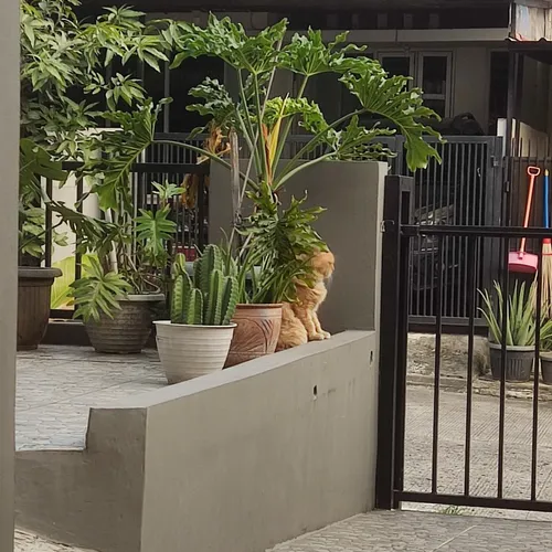 Ngurutin pelem-pelem MCU