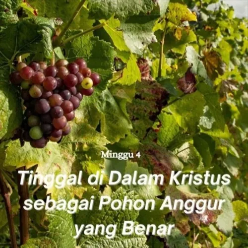 Kesimpulan Memorial 2024 MG04 - HR04