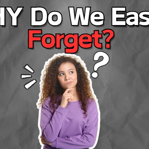 Why Do We Easily Forget?