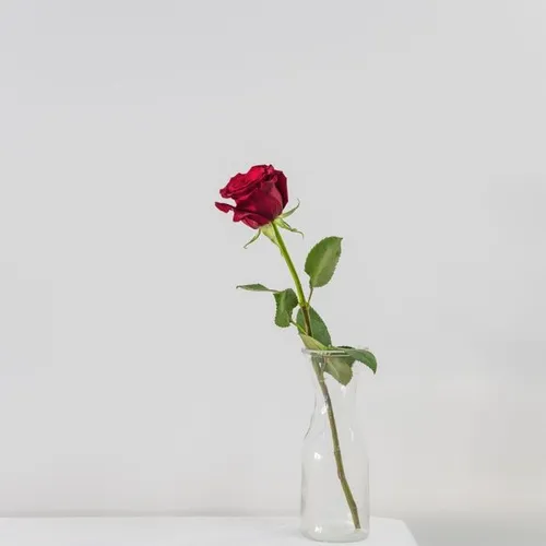 Bolehkah Merayu Sebentar?