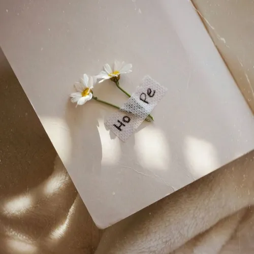 Hidupku tidak seindah mentari