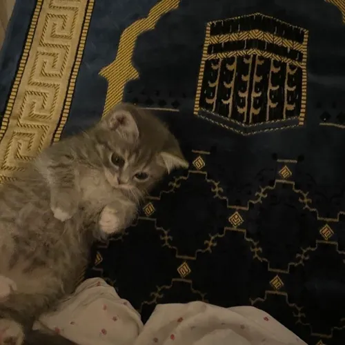 Islam dan Keistimewaannya