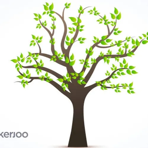 Pengalaman membentuk masa depan 