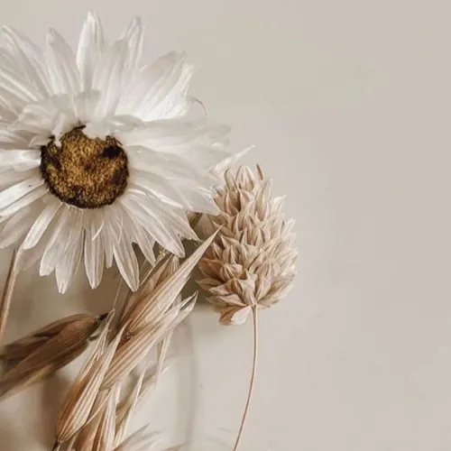 Podcast 10 - Nisa Haerani 2305206