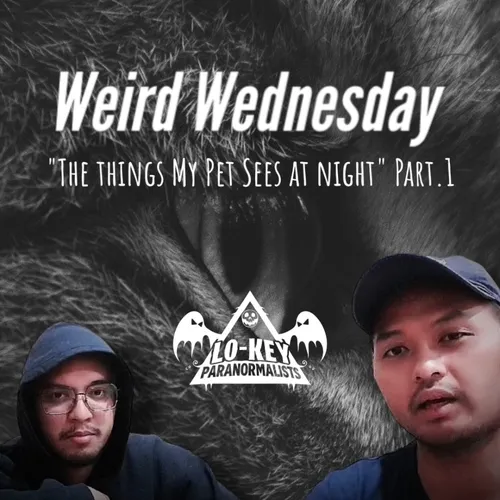 Weird Wednesday: The Things My Pet Sees at Night Pt.1