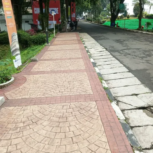 Aktivitäten an der Universität