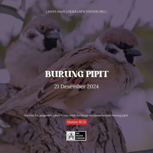 BURUNG PIPIT