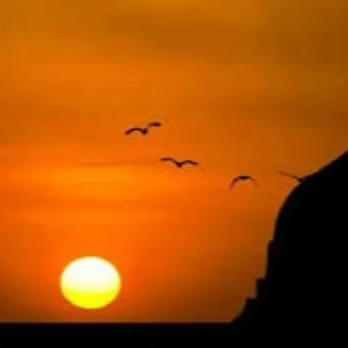 Pendidikan di haramain