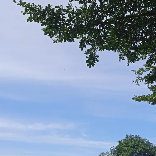 Awal 2025, Januari di hari ke-2