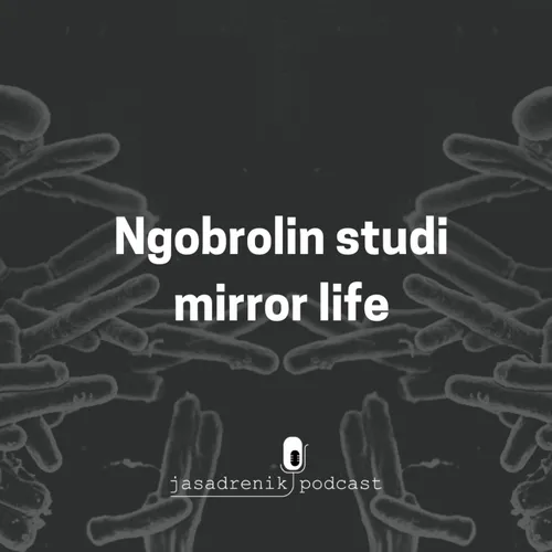 Ngobrolin studi mirror life