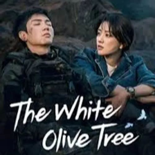 NEW DRAMA : THE WHITE OLIVE TREE FIRST IMPRESSION