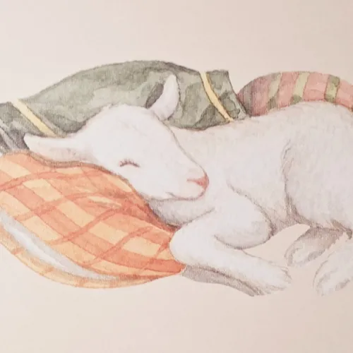 50 Poems for Joy and Hope 