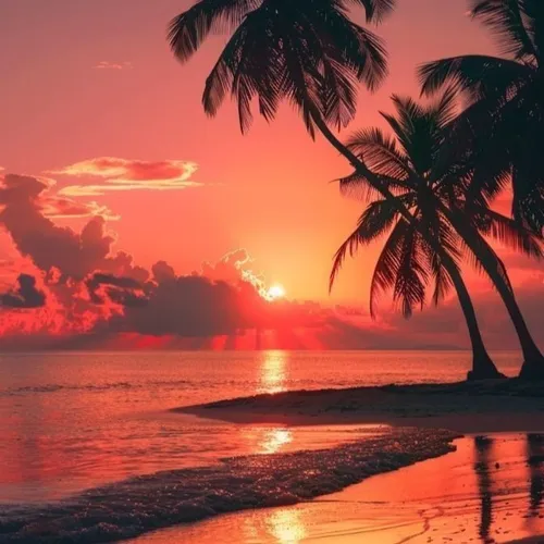 Musik house Dream Vibes beach sunset ☀️