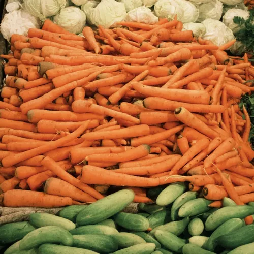 Scroll, Like, Suara: Media Sosial dan Gelombang Partisipasi Politik