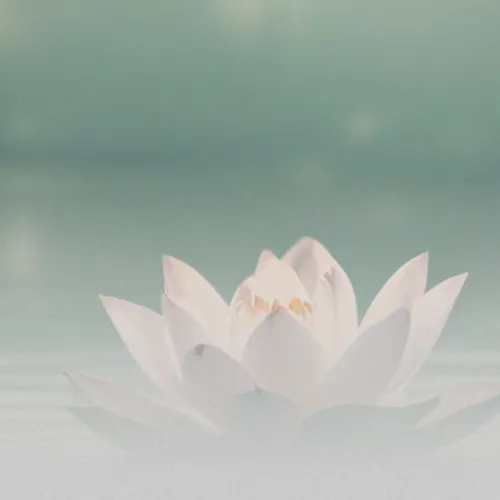 The Last Breathtaking Way To Sunialokha