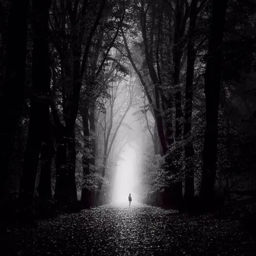 Misteri Bukit Rimbun