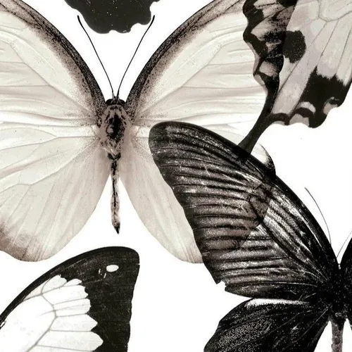 Tape 1 : cuma karena mbak penjaga food stall