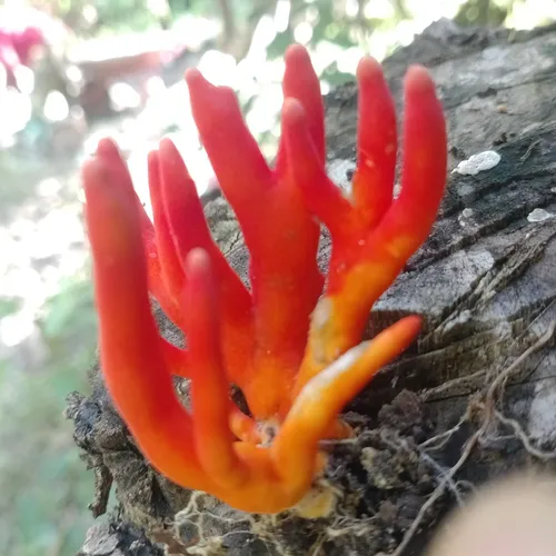 Angin kencang di sore hari menjelang magrib