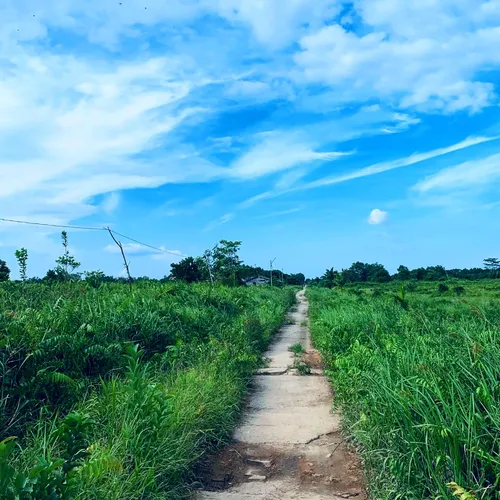 Reboot #10 - Terpahat Kuat di Amygdala (musikalisasi puisi)