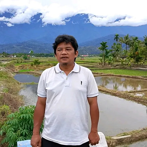 Penyebab buah jambu dalam pot rontok