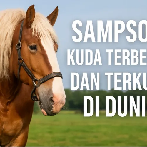 š¬ SAMPSON: Kuda Terbesar dan Terkuat di Dunia yang Pernah Hidup