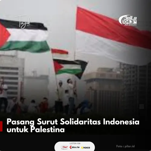 Pasang Surut Solidaritas Indonesia untuk Palestina