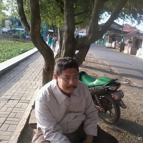 Pak bejo