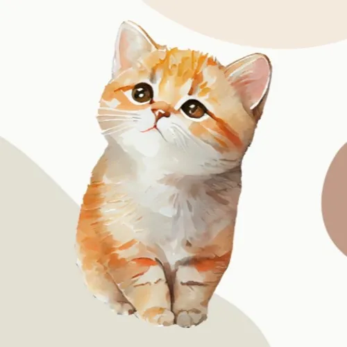 Pola Pikir Finansial Gen Z: Pentingnya Catatan Keuangan