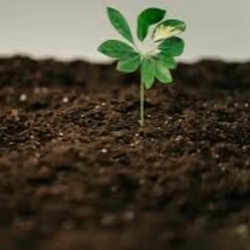 Kamu Boleh Lelah, Tapi jangan Hilang