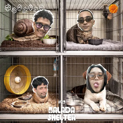NUMPUNK #29 - Balada Shelter