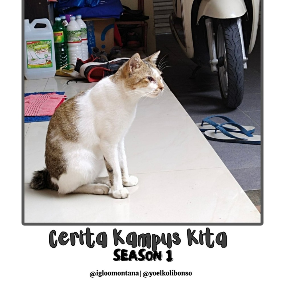 Cerita Kampus Kita | S1 : Cerita Kampus Kita #1 | Hyper Sex | Noice Podcast