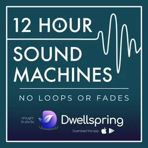 Birds of the Rainforest Sound Machine (12 Hours)