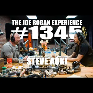 #1345 - Steve Aoki