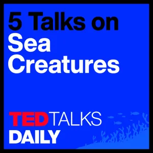 The Mystery of Sea Creatures (1/5): A coral reef love story | Ayana Elizabeth Johnson
