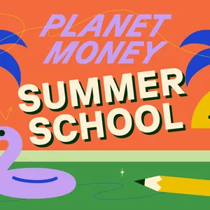Summer School 3: How government decides what to spend our money on