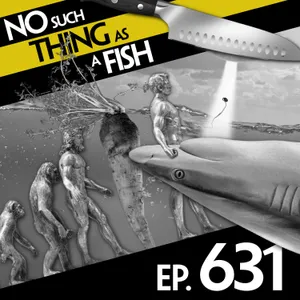 No Such Thing As A Second-Placed Helmet 