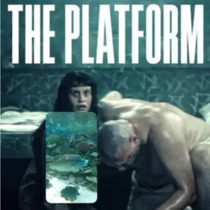 Hychik FM 英語 - eps 1 (The Platform 2 Explained)