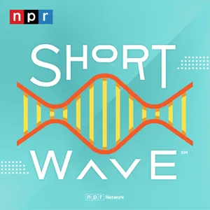 A Short Wave Mad Lib