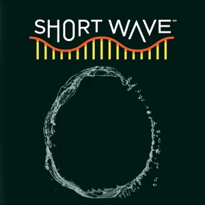 The Trouble With Zero